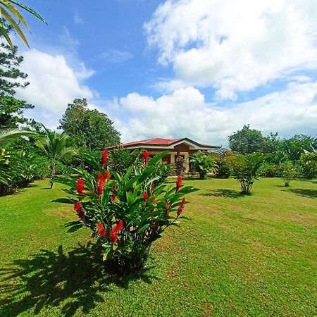 Villa Ceiba La Fortuna Buitenkant foto