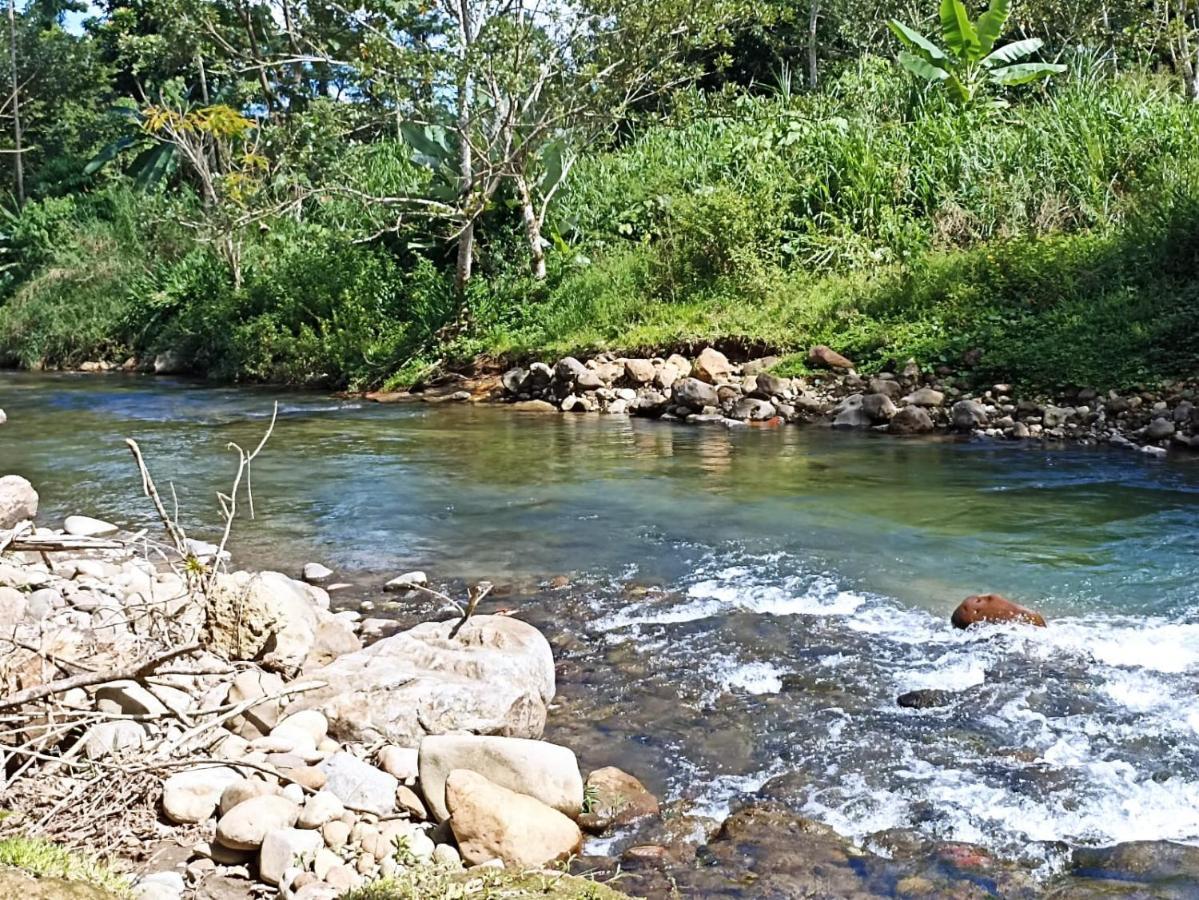 Villa Ceiba La Fortuna Buitenkant foto
