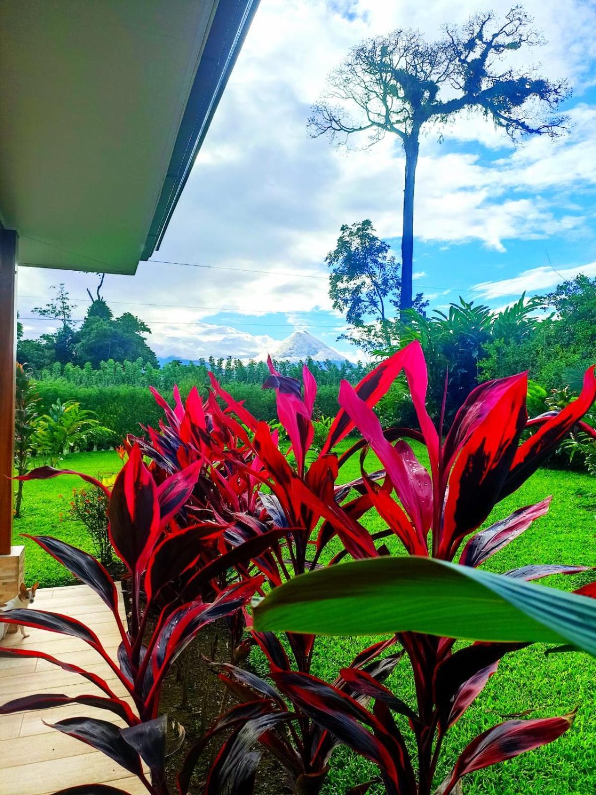 Villa Ceiba La Fortuna Buitenkant foto
