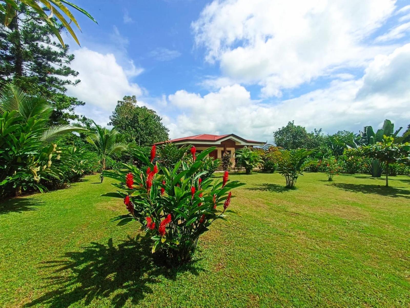 Villa Ceiba La Fortuna Buitenkant foto